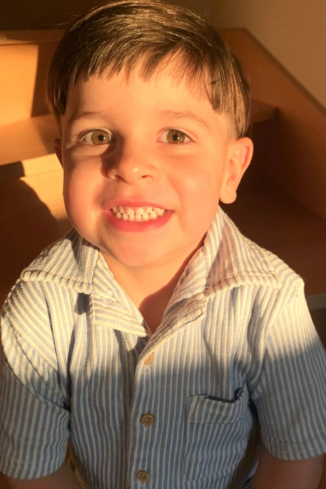 portrait.webp